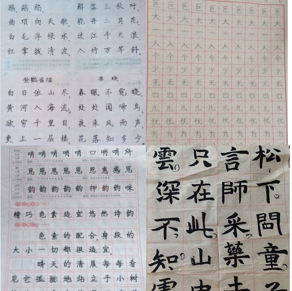 1语文 (1).jpg