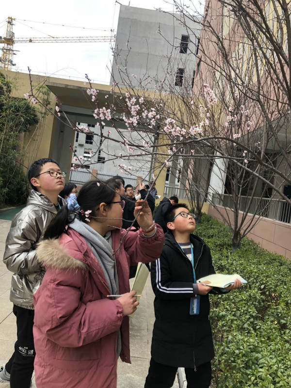 图1_meitu_1.jpg
